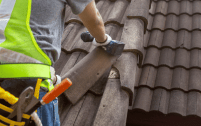 5 Essential Roof Maintenance Tips to Protect Your Home Year-Round